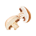 White Mushroom