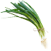 Spring onions